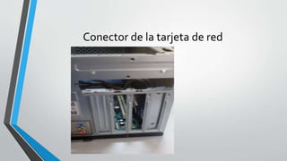 Conector de la tarjeta de red
 