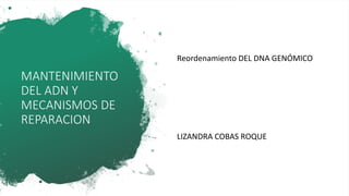 MANTENIMIENTO
DEL ADN Y
MECANISMOS DE
REPARACION
Reordenamiento DEL DNA GENÓMICO
LIZANDRA COBAS ROQUE
 