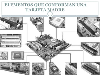 ELEMENTOS QUE CONFORMAN UNA
      TARJETA MADRE
 