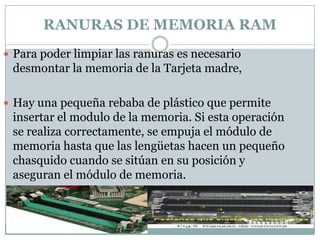 RANURAS DE MEMORIA RAM
 Para poder limpiar las ranuras es necesario
 desmontar la memoria de la Tarjeta madre,

 Hay una pequeña rebaba de plástico que permite
 insertar el modulo de la memoria. Si esta operación
 se realiza correctamente, se empuja el módulo de
 memoria hasta que las lengüetas hacen un pequeño
 chasquido cuando se sitúan en su posición y
 aseguran el módulo de memoria.
 