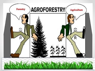 ROLE OF AGROFORESTRY IN MITIGATION OF CLIMATE CHANGE | PPTX