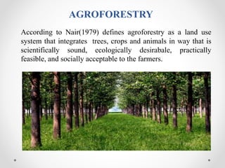 ROLE OF AGROFORESTRY IN MITIGATION OF CLIMATE CHANGE | PPTX
