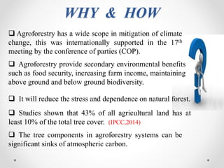 ROLE OF AGROFORESTRY IN MITIGATION OF CLIMATE CHANGE | PPTX