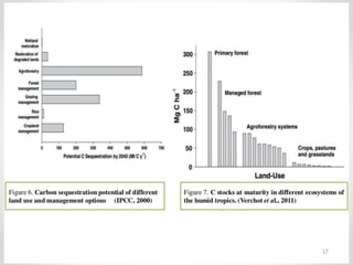 ROLE OF AGROFORESTRY IN MITIGATION OF CLIMATE CHANGE | PPTX