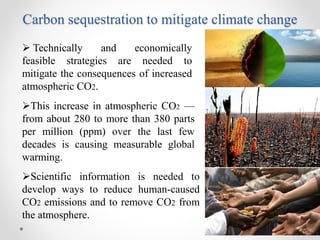 Carbon sequestration to mitigate climate change
 Technically and economically
feasible strategies are needed to
mitigate ...