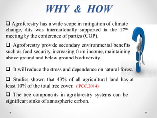 WHY & HOW
 The tree components in agroforestry systems can be
significant sinks of atmospheric carbon.
 Agroforestry pro...