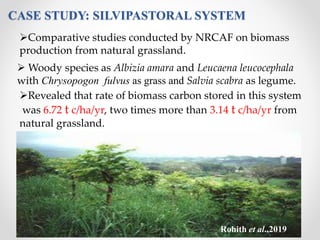 CASE STUDY: SILVIPASTORAL SYSTEM
Comparative studies conducted by NRCAF on biomass
production from natural grassland.
 W...