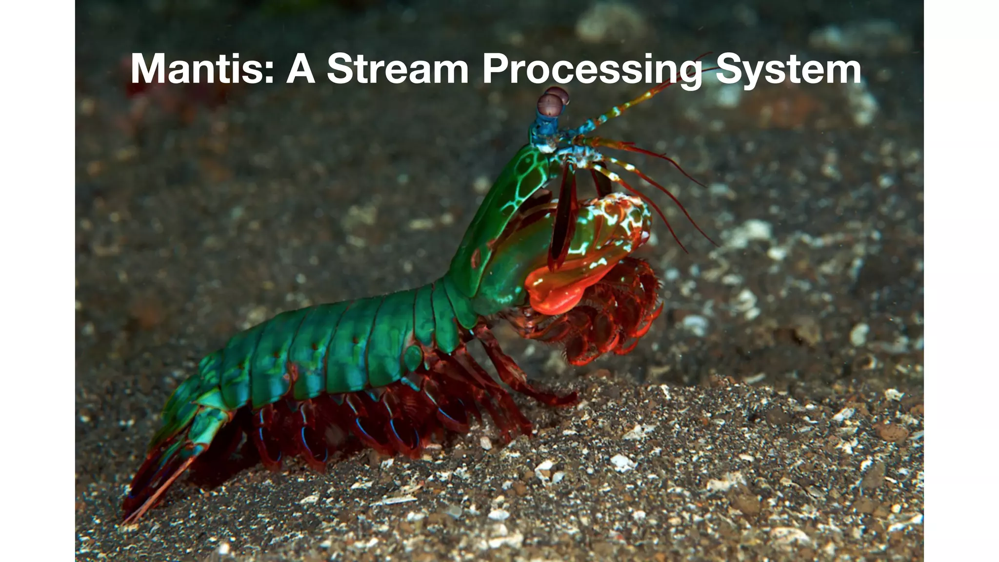 Mantis: A Stream Processing System 
 