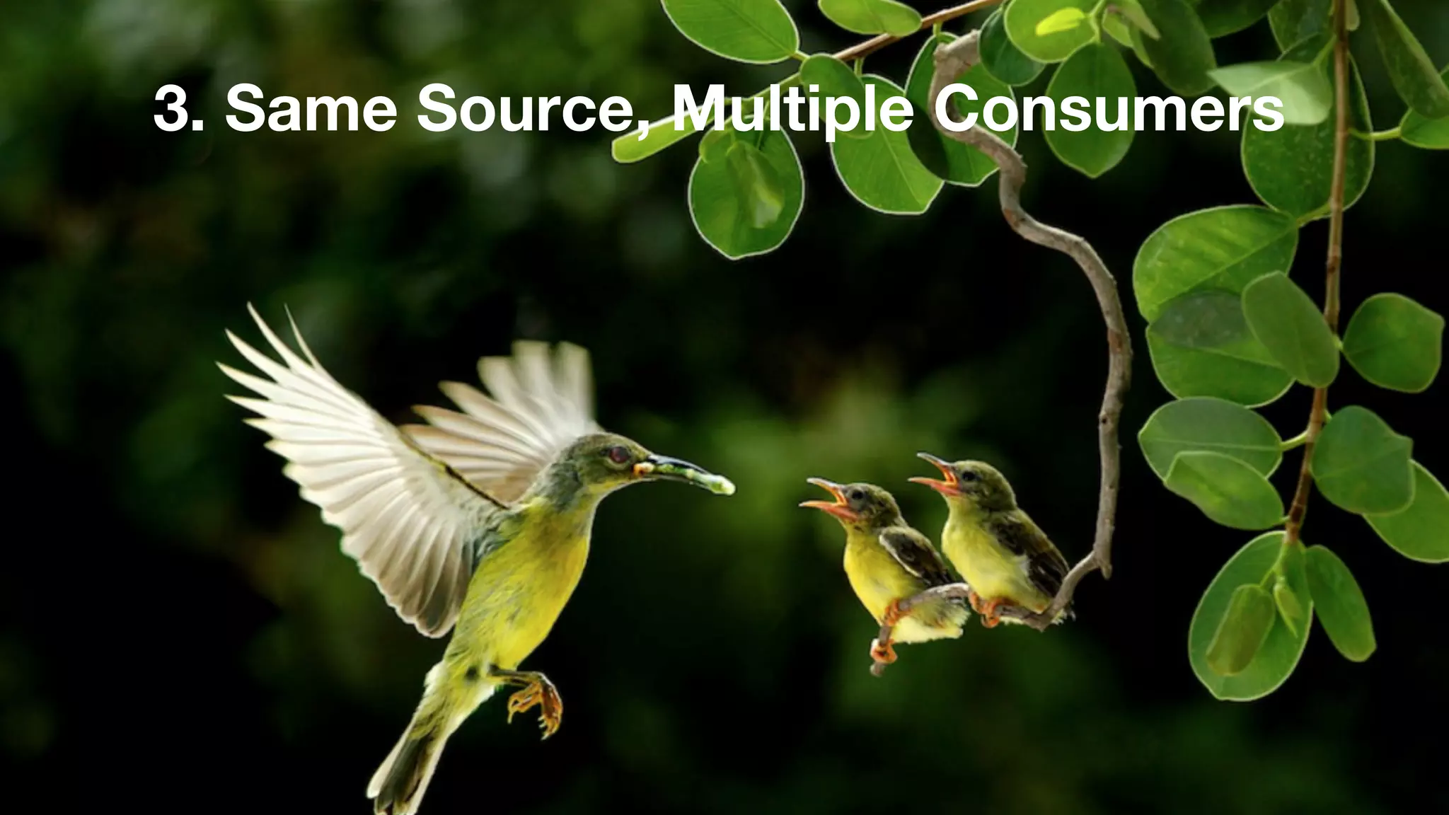 3. Same Source, Multiple Consumers 
 