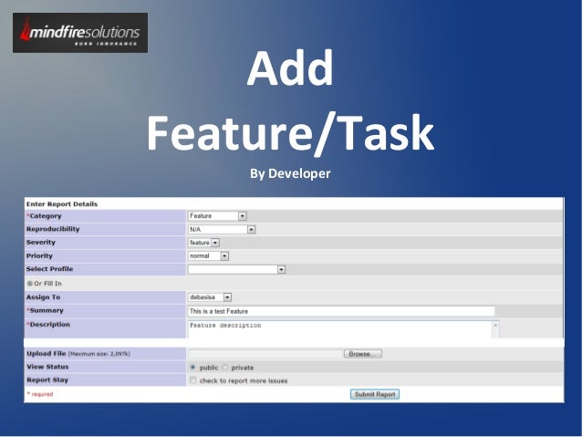 Mantis Bug Tracker Task Management System