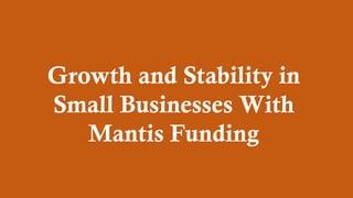 Growth and Stability in
Small Businesses With
Mantis Funding
 