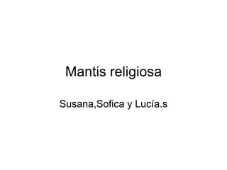 Mantis religiosa
Susana,Sofica y Lucía.s
 
