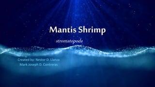 Mantis Shrimp
Created by: Nestor D. Llanza
Mark Joseph D. Contreras
stromatopoda
 