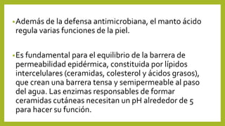 •Además de la defensa antimicrobiana, el manto ácido
regula varias funciones de la piel.
•Es fundamental para el equilibrio de la barrera de
permeabilidad epidérmica, constituida por lípidos
intercelulares (ceramidas, colesterol y ácidos grasos),
que crean una barrera tensa y semipermeable al paso
del agua. Las enzimas responsables de formar
ceramidas cutáneas necesitan un pH alrededor de 5
para hacer su función.
 
