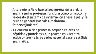 •Alterando la flora bacteriana normal de la piel, la
enzima serina proteasa, funciona como un motor, y
se desata el sistema de inflamación altera la piel y se
pueden generar (maculas (melasma),
fotoenvejimiento).
• La enzima serina proteasa degrada enlaces de
péptidos y proteínas y que poseen en su centro
activo un aminoácido serina esencial para la catálisis
enzimática.
 
