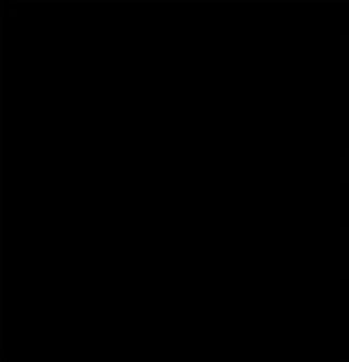 Malibu Engagement Portraits