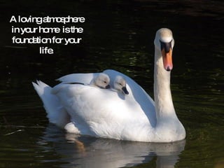 A loving atmosphere in your home  is the foundation for your life. 