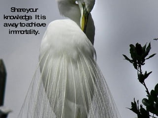 Share your knowledge.  It is a way to achieve immortality. 