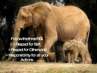 Follow the three R’s: Respect for Self, Respect for Others and Responsibility for all your Actions. 