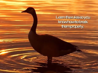 Learn the rules so you know how to break them properly. 