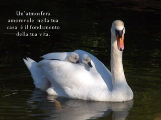 Un’atmosfera amorevole  nella tua casa  è il fondamento della tua vita. 