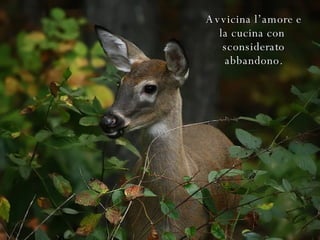 Avvicina l’amore e la cucina con  sconsiderato abbandono. 