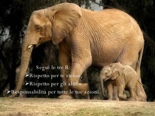 Segui le tre R: Rispetto per te stesso, Rispetto per gli altri e Responsabilità per tutte le tue azioni. 