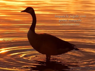 Impara le regole così potrai romperle correttamente. 