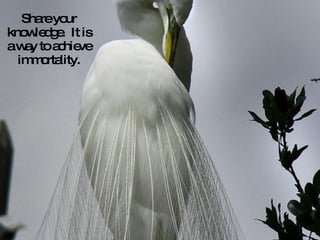 Share your knowledge.  It is a way to achieve immortality. 