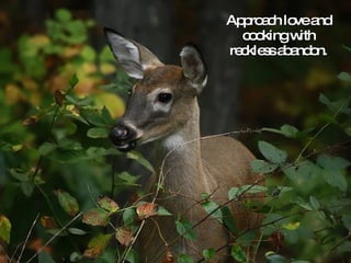 Approach love and cooking with reckless abandon. 