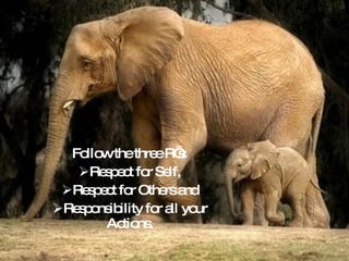 Follow the three R’s: Respect for Self, Respect for Others and Responsibility for all your Actions. 