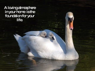 A loving atmosphere in your home  is the foundation for your life. 