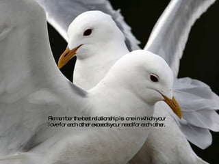 Remember the best relationship is  one in which your love for each other exceeds your need for each other. 