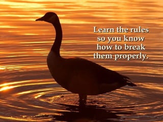 Learn the rules so you know how to break them properly. 