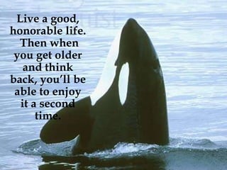 Live a good, honorable life.  Then when you get older and think back, you’ll be able to enjoy it a second time. 