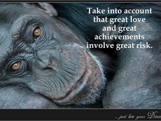 Take into account that great love and great achievements involve great risk. 