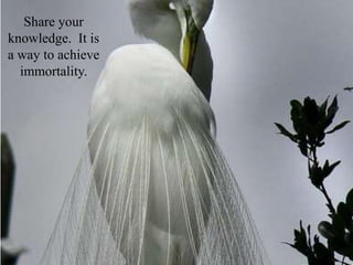 In disagreements with loved ones, deal only with the current situation.  Don’t bring up the past.