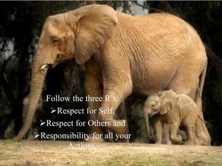 Follow the three R’s:Respect for Self,