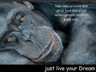 Take into account that great love and great achievements involve great risk. just live your Dream