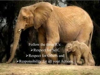 Follow the three R’s:Respect for Self,