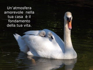 Un’atmosfera
amorevole nella
 tua casa è il
  fondamento
 della tua vita.
 