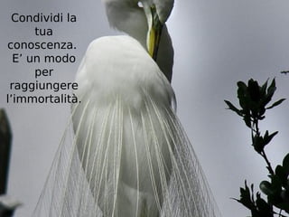 Condividi la
      tua
conoscenza.
  E’ un modo
      per
 raggiungere
l’immortalità.
 