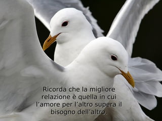 Ricorda che la migliore
  relazione è quella in cui
l’amore per l’altro supera il
      bisogno dell’altro.
 