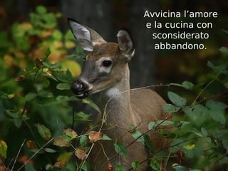 Avvicina l’amore
e la cucina con
  sconsiderato
  abbandono.
 