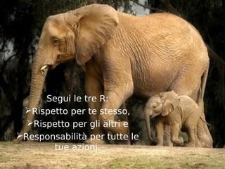Segui le tre R:
 Rispetto per te stesso,
  Rispetto per gli altri e
Responsabilità per tutte le
       tue azioni.
 