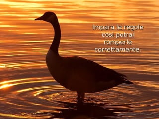 Impara le regole
   così potrai
    romperle
 correttamente.
 