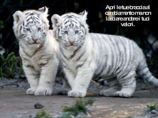 Apri le tue braccia al cambiamento ma non lasciare andare i tuoi valori. 