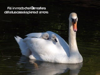 Fai in modo che l’atmosfera della tua casa sia piena di amore. 