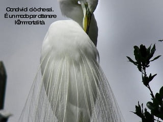 Condividi ciò che sai. É un modo per ottenere l’immortalità. 