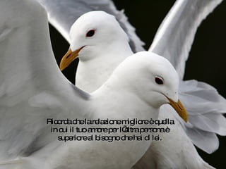 Ricorda che la relazione migliore è quella in cui il tuo amore per l’altra persona è superiore al bisogno che hai di lei. 